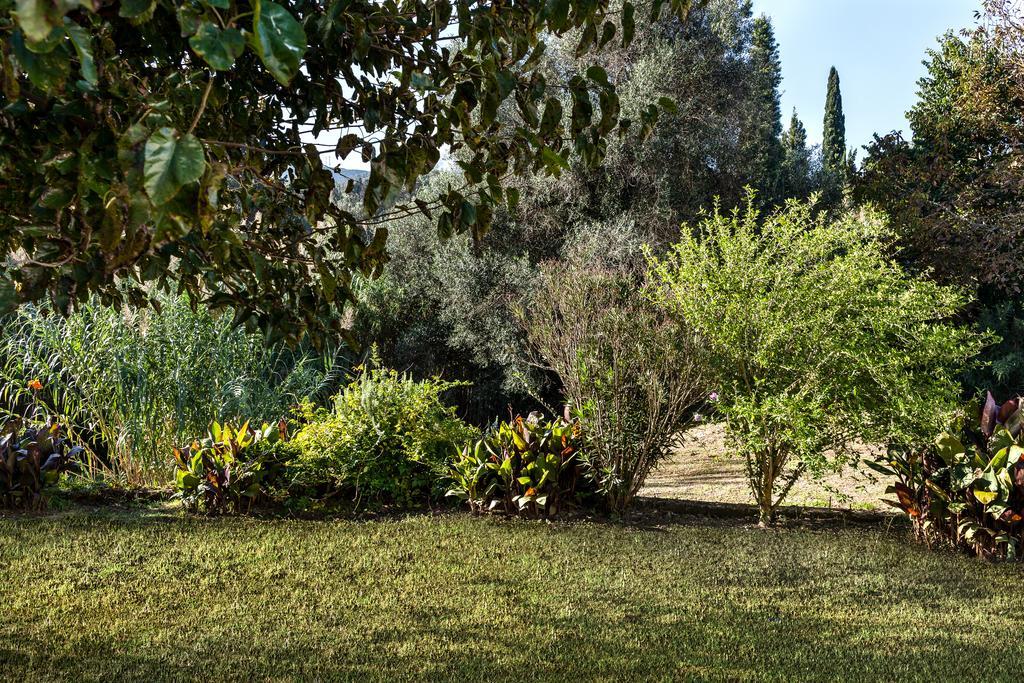 Zen Stone House Villa Agios Georgios Pagon Room photo